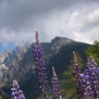 Vysok Tatry, 2012